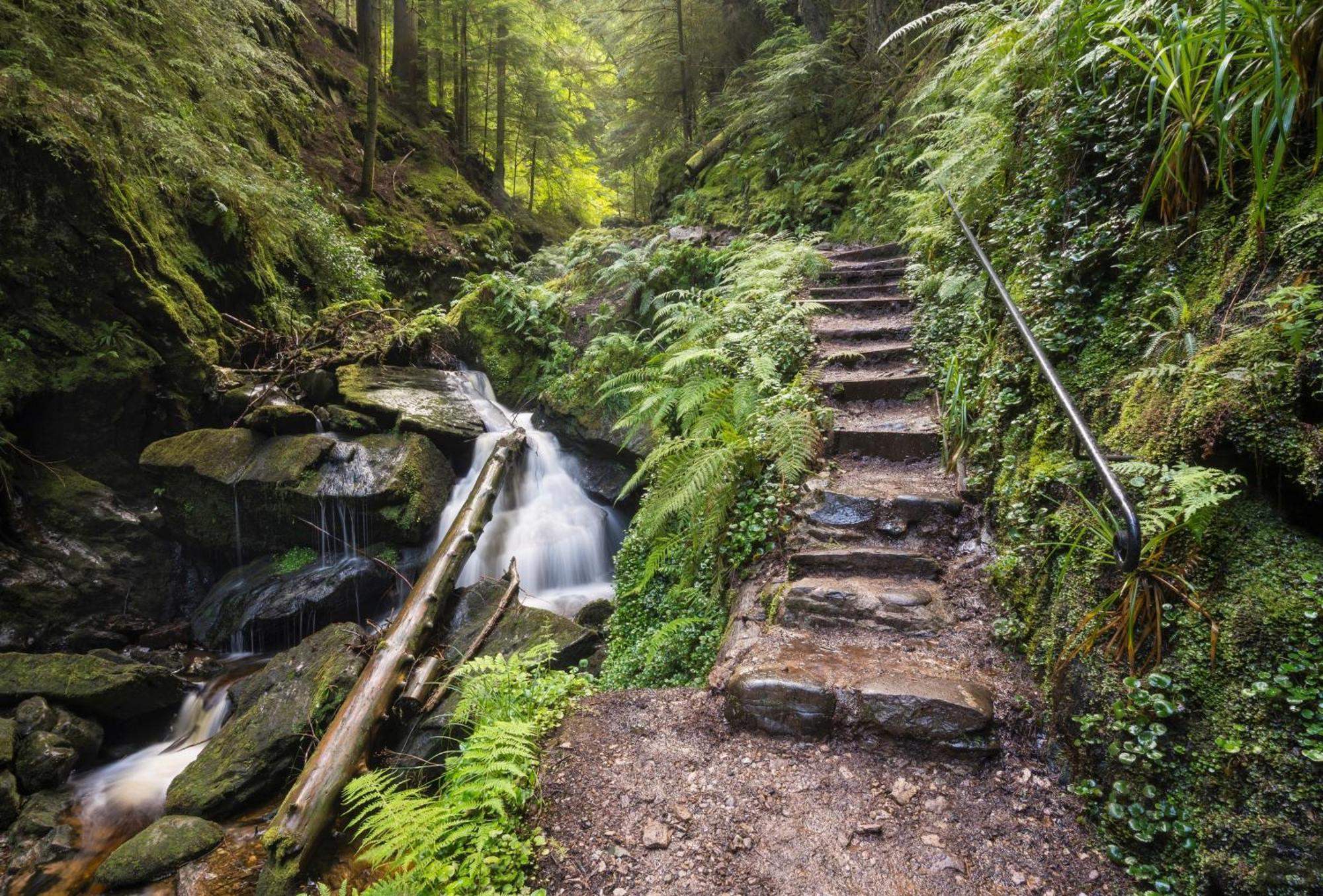 18 Lamont Lodges ダヌーン エクステリア 写真